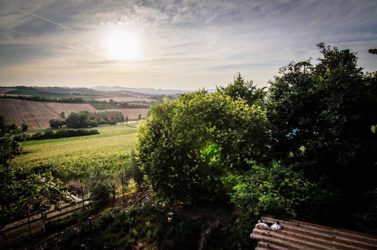 Tenuta San Rocco Conzano Exteriér fotografie