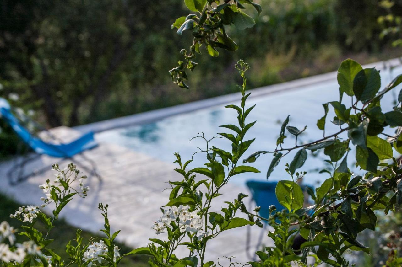 Tenuta San Rocco Conzano Exteriér fotografie