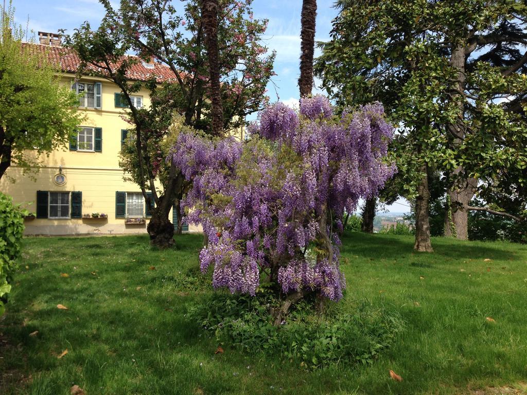 Tenuta San Rocco Conzano Exteriér fotografie